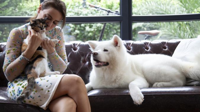 woman sitting with a fluffy white dog and calico cat on a couch